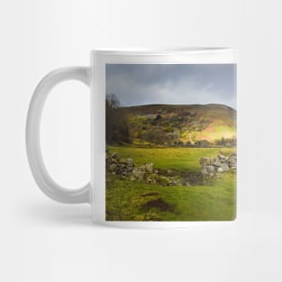 Swaledale Mug